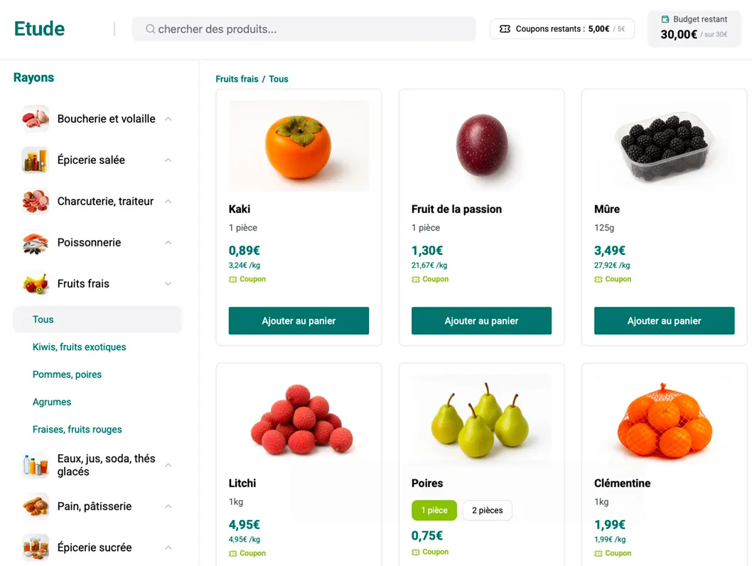 Le magasin en ligne vu par un panéliste